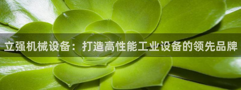 九游会网址入口