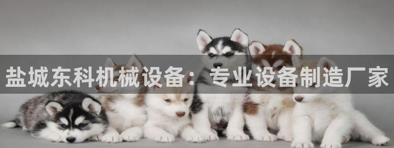 九游会贴吧