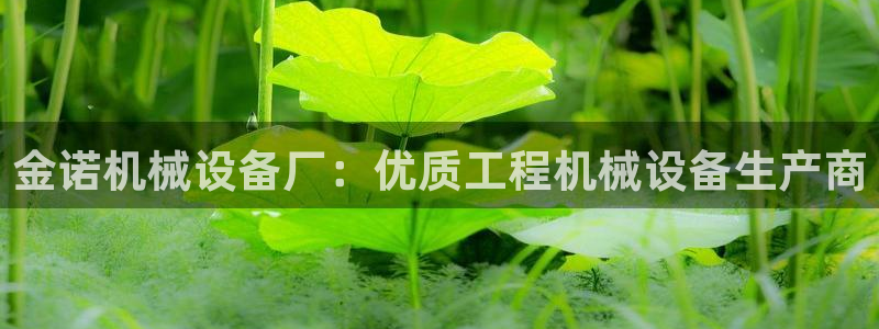 九游会j9全站平台