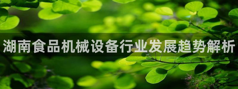 九游会中国j9 09.ag