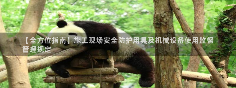 九游会提款安全吗