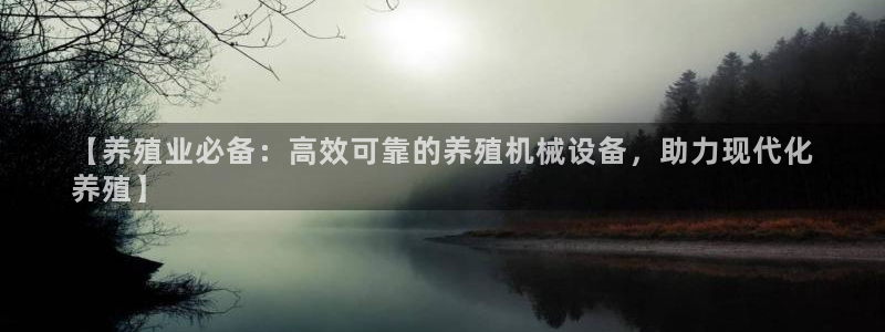 九游会怎么提币