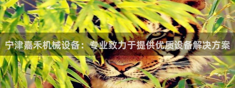 九游会国际厅有限责任公司