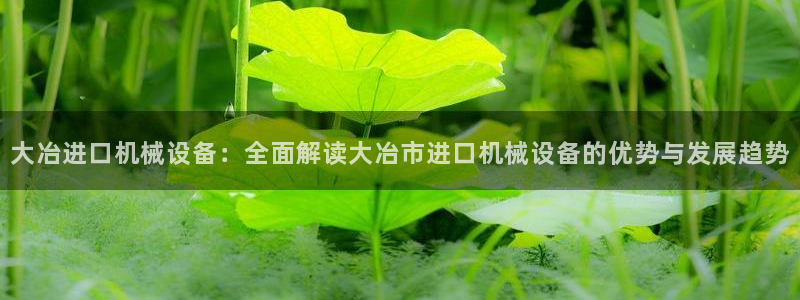J9九游会试玩入口