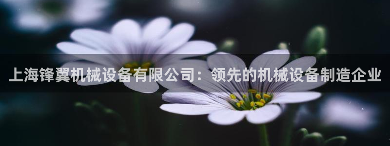 九游会亚洲唯一合作伙伴