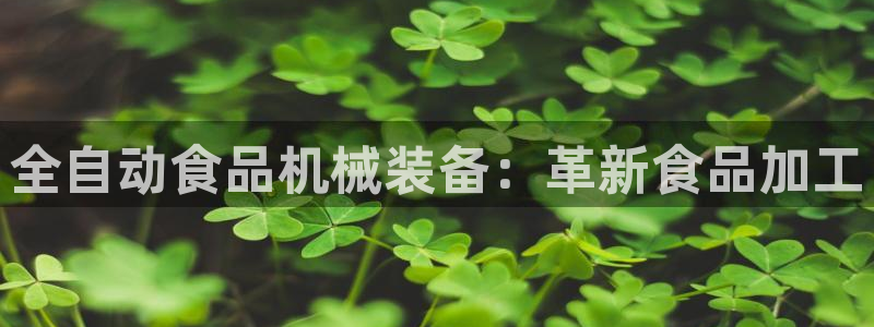 ag九游会论坛