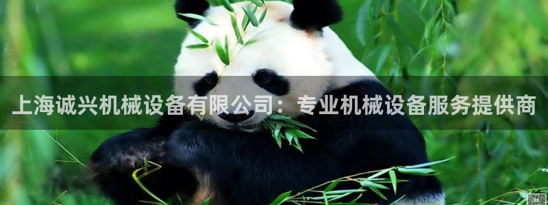 九游会app下载版官网正版安卓