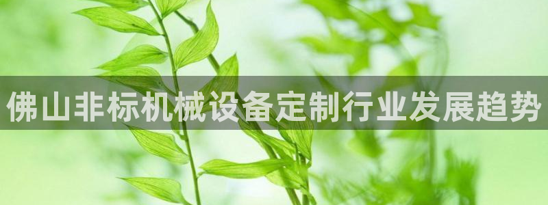 ag九游会论坛