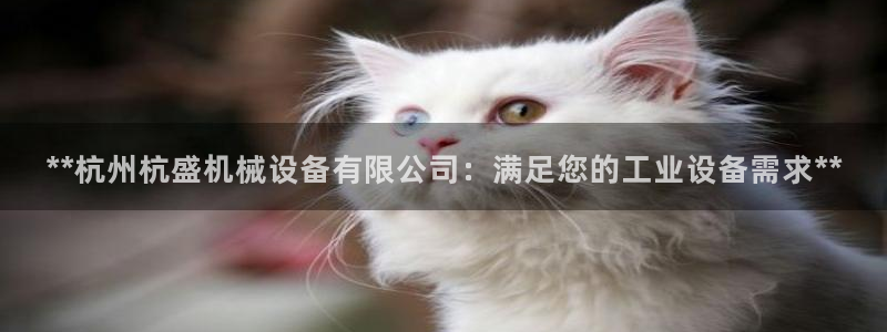九游会a?g