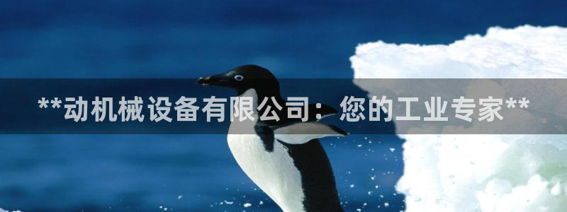 九游会集团货币