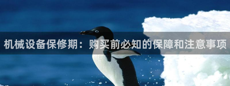 九游j9