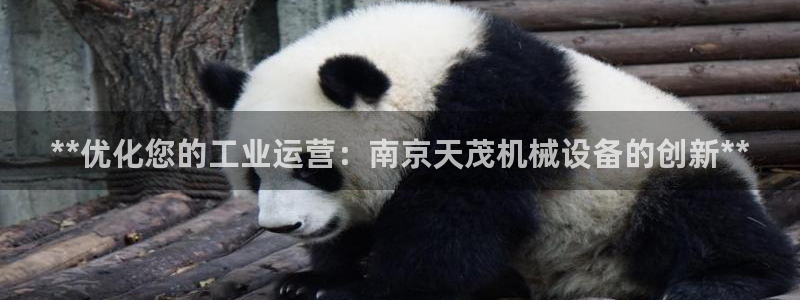 ag九游网
