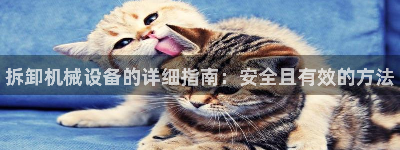 j9九游会买u多少一个