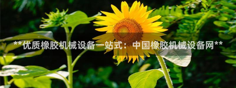j9九游会黑网
