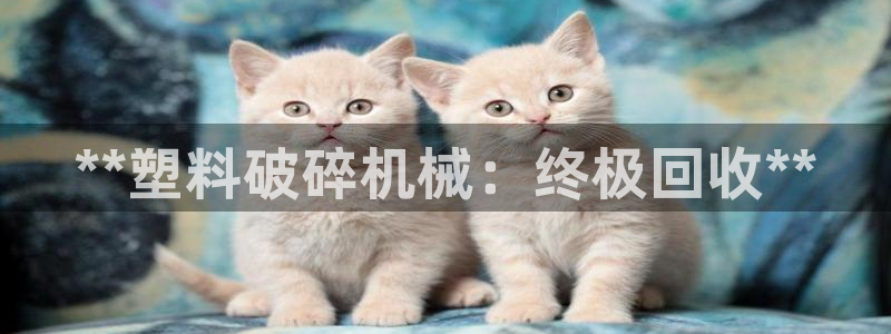 ag九游会j9j9