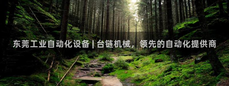 九游会口碑怎么样