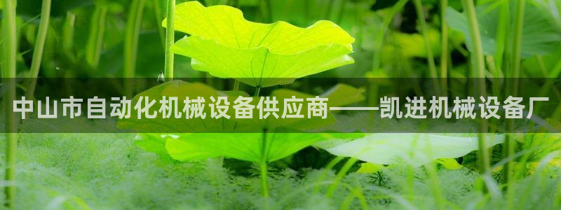 j9九游会体育