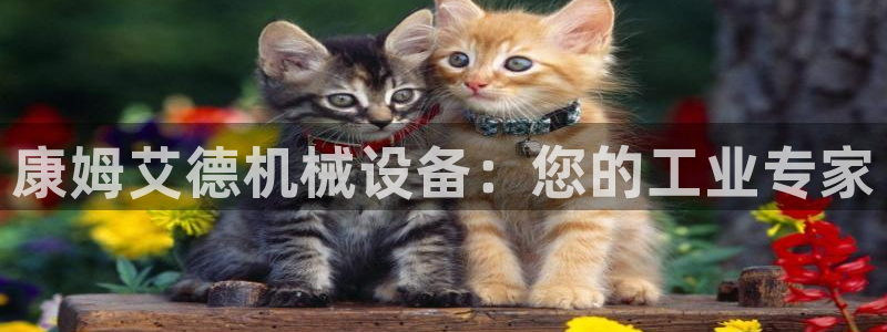 九游会游戏登陆