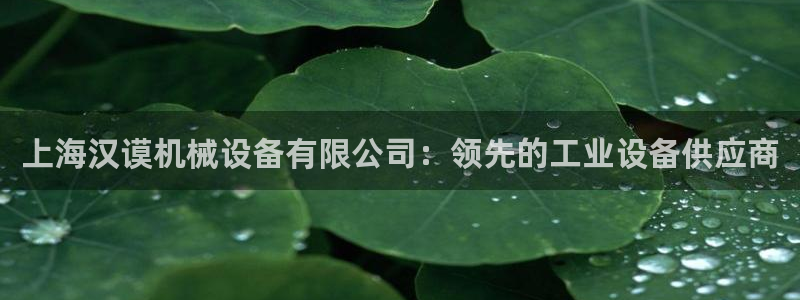 九游j9会