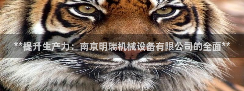 九游j9