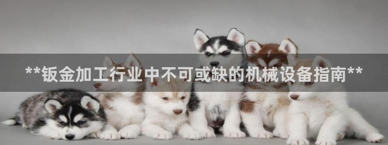 九游会员中心