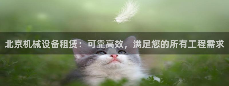 九游会老哥