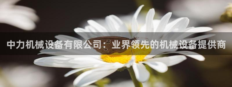 ag九游会官网网址