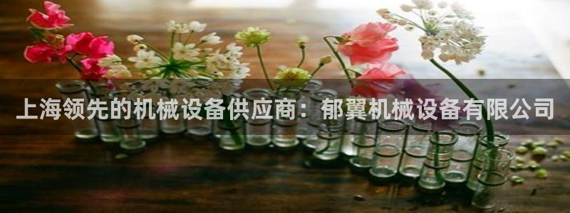 j9九游会老哥俱乐部八戒
