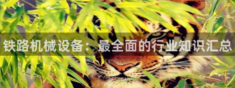 九游官网j9活动介绍