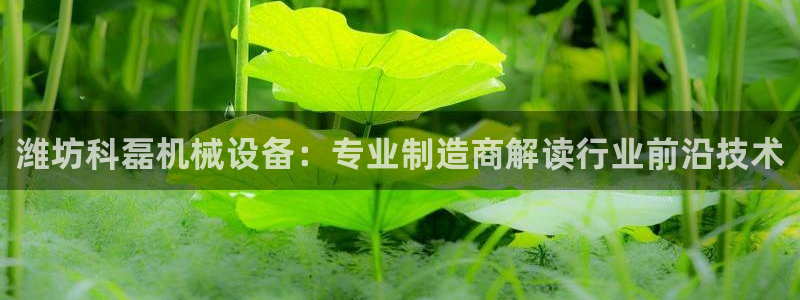 九游会平台网站