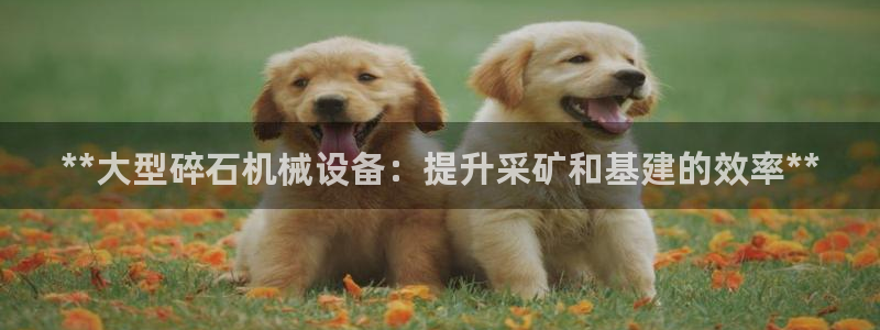 九游会老哥俱乐部官网首页