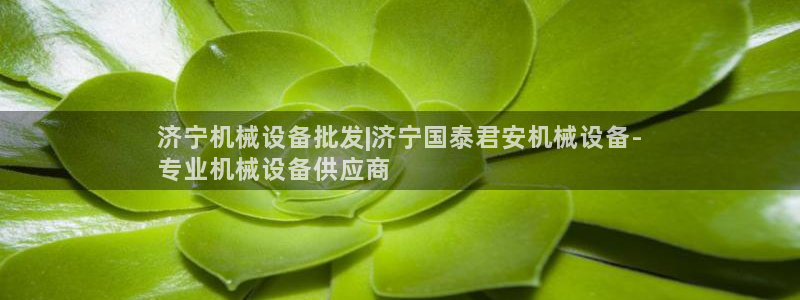 九游会官网真人认证吗是真的吗