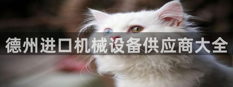j9九游会入口