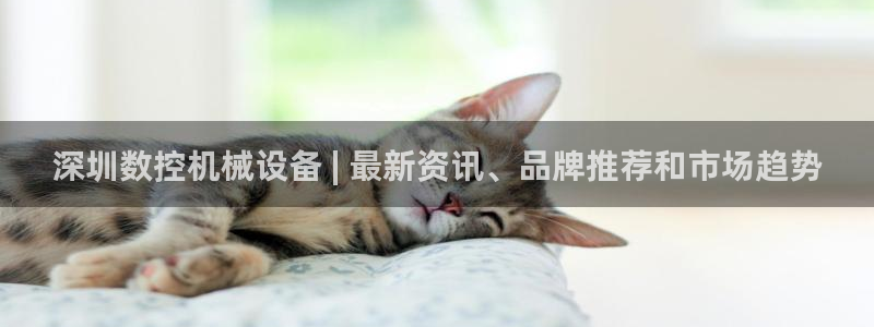 九游会agj9