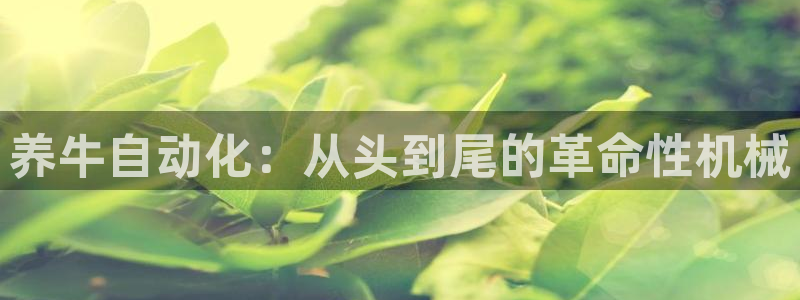 九游会真人第一品牌游戏合营