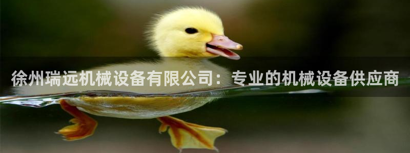 j9九游会永久域名