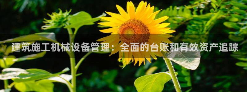 九游会登陆地址
