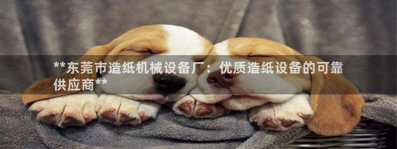 ag九游会集团