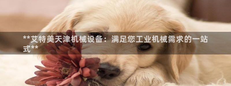 九游会老哥俱乐部官网首页