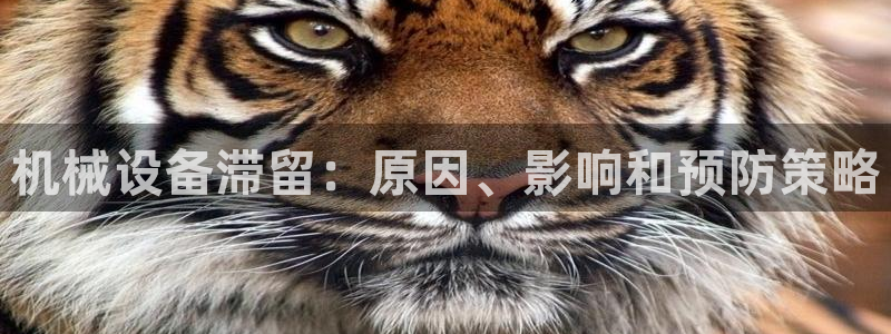 九游会吧