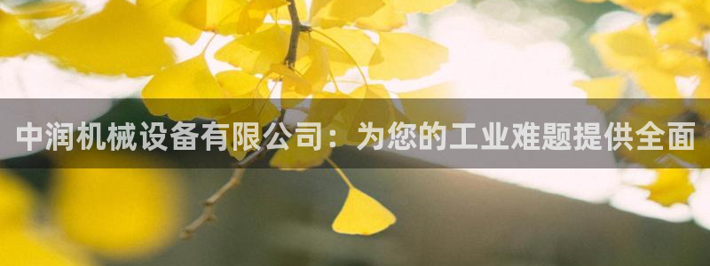 九游会集团货币