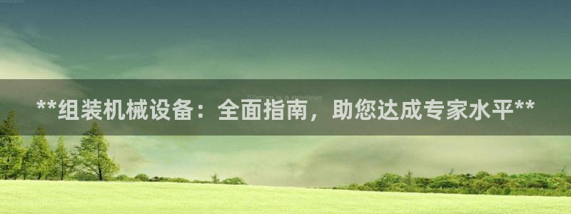 ag九游会集团