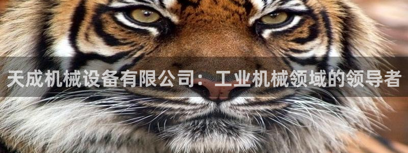 j9九游会老哥俱乐部 - 九游会