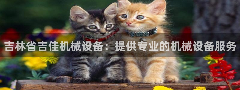 九游会进入