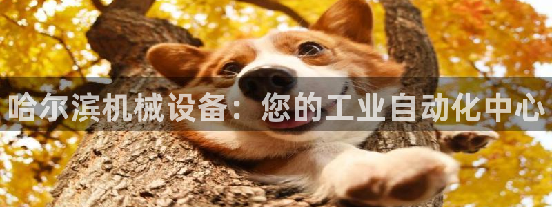 九游会ag私享