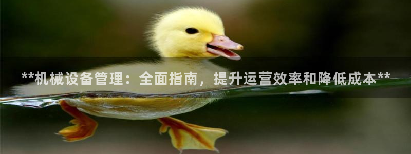j9官网平台