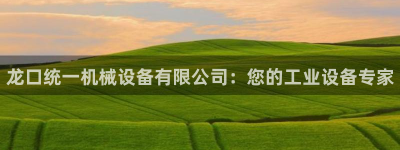 九游会跟ag是怎么一回事