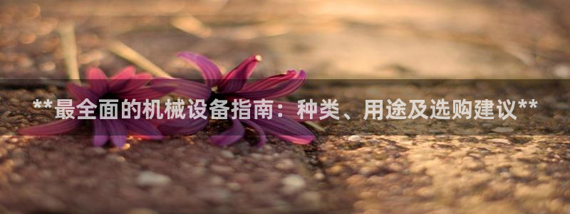 九游会官方网站登陆