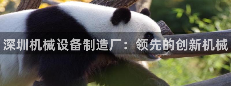 ag变成九游会