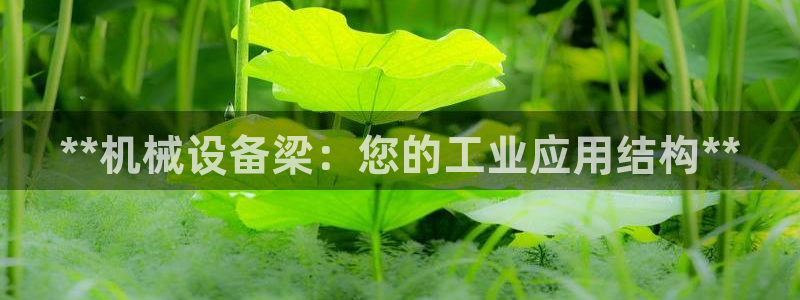 j9游会真人游戏第一品牌